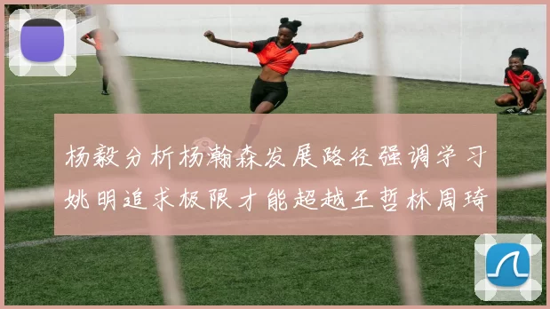 杨毅分析杨瀚森发展路径强调学习姚明追求极限才能超越王哲林周琦状态